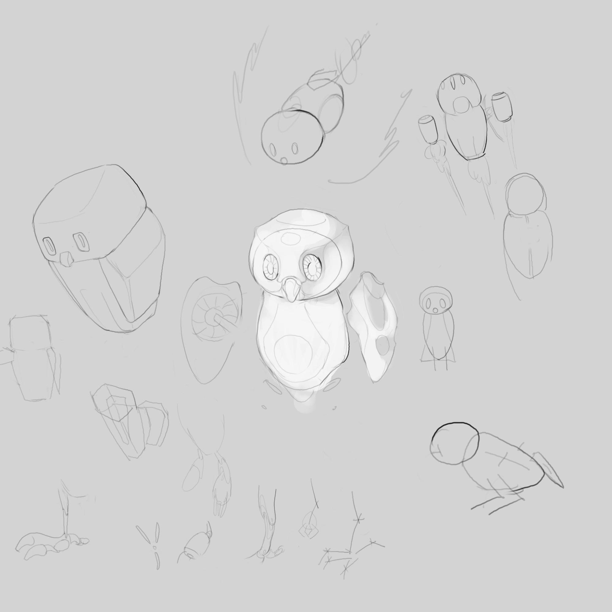 Image 11